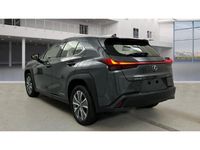 Gebraucht Lexus UX 300e Luxury Line 150 kW (204 PS) 2022 Grau SUV
