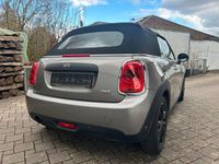 Gebraucht Mini One Cabriolet 102 PS (75 kW) 2019 Cabrio