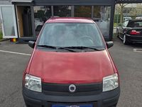 Gebraucht Fiat Panda Active 54 PS (39 kW) 2009 Rot Kleinwagen