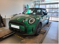 Gebraucht Mini Cooper Cabriolet Classic 136 PS (100 kW) 2022 Grün Cabrio
