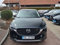 gebraucht Mazda CX-5 Newground AWD LED DAB HuD NAVI 360°