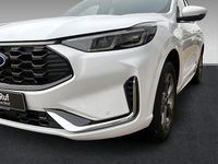 Neu Ford Kuga ST-Line X 243 PS (178 kW) 2026 Weiß SUV