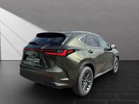Neu Lexus NX450h+ Executive Line 309 PS (227 kW) 2026 Grün SUV