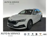 Gebraucht Skoda Octavia Ambition 150 PS (110 kW) 2023 Weiß Kombi