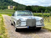 Gebraucht Mercedes W111 SE 150 PS (110 kW) 1966 Astralsilber Cabrio
