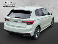 Neu Skoda Fabia Selection 116 PS (85 kW) 2026 Grün Kleinwagen