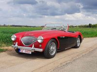 Brugt Austin Healey 100 90 HK (66 kW) 1956 Rød Cabriolet