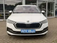 Gebraucht Skoda Octavia Style 110 PS (80 kW) 2022 Weiß Limousine