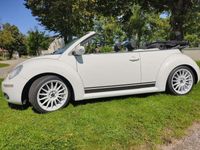 gebraucht VW Beetle NewNewCabriolet 1.6