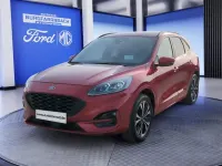 Gebraucht Ford Kuga ST-Line X 224 PS (164 kW) 2022 Lucid red metallic SUV