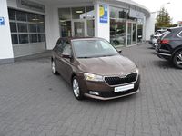 Gebraucht Skoda Fabia Active 95 PS (69 kW) 2021 Braun Kleinwagen