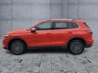 Gebraucht VW Tiguan Elegance 150 PS (110 kW) 2024 Persimmon red metallic SUV
