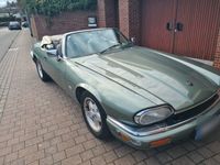 gebraucht Jaguar XJS Sehr schönes Cabrio