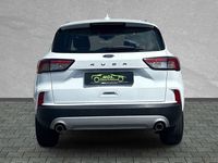 Gebraucht Ford Kuga Cool & Connect 150 PS (110 kW) 2023 Weiß SUV