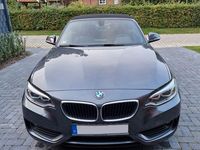 Gebraucht BMW 220 Advantage 184 PS (135 kW) 2016 Grau Cabrio