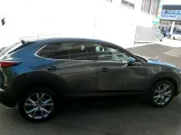 Gebraucht Mazda CX-30 Selection 150 PS (110 kW) 2022 Grau SUV