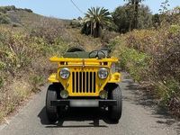 Gebraucht Jeep Willys 1960 Andere farben SUV