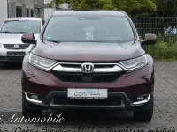 Usata Honda CR-V Elegance 173 CV (127 kW) 2019 Marrone SUV