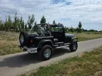 Gebraucht Jeep Wrangler 178 PS (130 kW) 1991 Schwarz SUV