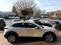 Gebraucht Mazda CX-30 Selection 122 PS (89 kW) 2022 Braun metallic SUV