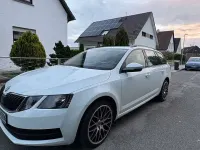 Gebraucht Skoda Octavia Active 86 PS (63 kW) 2017 Weiß Kombi