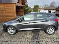Gebraucht Ford Fiesta Trend 71 PS (52 kW) 2019 Grau Kleinwagen