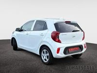Gebraucht Kia Picanto Vision 67 PS (49 kW) 2024 Weiss ((ud) schneeweiss) Kleinwagen