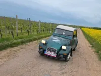 Gebraucht Citroën 2CV 1984 Grün Limousine