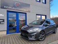 Gebraucht Ford Fiesta ST-Line 101 PS (74 kW) 2019 Grau Kleinwagen