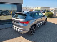Gebraucht Cupra Ateca 150 PS (110 kW) 2026 Grau SUV