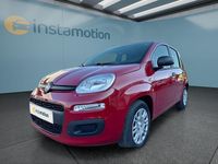 Neu Fiat Panda 65 PS (47 kW) 2025 Rot Kleinwagen