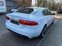 Gebraucht Jaguar XE 180 PS (132 kW) 2016 Weiß Limousine