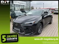 Gebraucht Lexus NX350h Executive Line 243 PS (178 kW) 2025 Graphitschwarz SUV