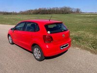 Gebraucht VW Polo 60 PS (44 kW) 2011 Rot Kleinwagen