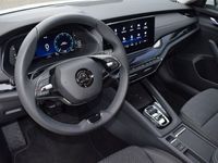 Gebraucht Skoda Octavia Style 150 PS (110 kW) 2024 Candyweiss candyweiss Kombi