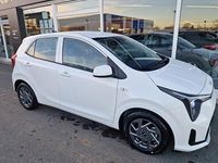 Neu Kia Picanto Vision 67 PS (49 kW) 2026 Weiß Kleinwagen