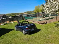 Gebraucht VW Golf Trendline 101 PS (74 kW) 1999 Blau Cabrio