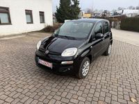 Gebraucht Fiat Panda Lounge 86 PS (63 kW) 2020 Schwarz Limousine