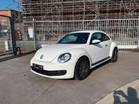 Usata VW Beetle 77 CV (56 kW) 2014 Bianco Utilitaria