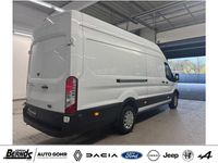 Gebraucht Ford Transit Trend 131 PS (96 kW) 2024 Frozen white (pn3gz) Pickup
