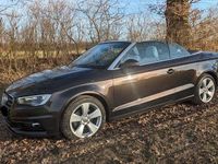 Gebraucht Audi A3 Cabriolet Ambition 150 PS (110 kW) 2015 Braun Cabrio