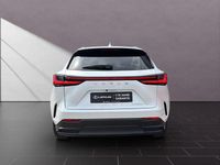 Neu Lexus NX350h Executive Line 243 PS (178 kW) 2025 Titaniumweiß SUV