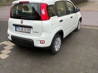 Gebraucht Fiat Panda 69 PS (50 kW) 2023 Weiß Kleinwagen