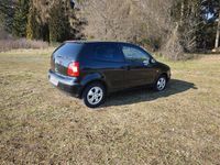 Gebraucht VW Polo 53 PS (38 kW) 2003 Schwarz Kleinwagen