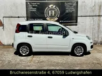 Gebraucht Fiat Panda Lounge 69 PS (50 kW) 2014 Weiß Kleinwagen