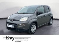 Gebraucht Fiat Panda 69 PS (50 kW) 2023 Grau Kleinwagen