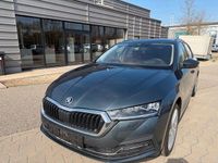 Gebraucht Skoda Octavia First Edition 116 PS (85 kW) 2020 Grau Kombi