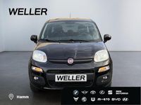 Gebraucht Fiat Panda Lounge 69 PS (50 kW) 2020 Schwarz Limousine