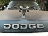 Gebraucht Dodge Ram 250 PS (183 kW) 1986 Weiß Pickup