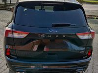 Gebraucht Ford Kuga 225 PS (165 kW) 2020 Schwarz SUV